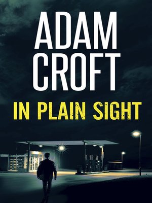 cover image of In Plain Sight